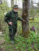 Kalevi ja viikatepuu Vaisakossa