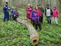 Valko-, sin-i ja keltavuokkojen seassa oli ihana vaeltaa Vaisakon metsässä..