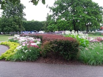 Retken päätteeksi saimme ihastella vaihteeksi Jurmalan kukkaloistoa.